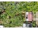An aerial view showcases the property's lush landscaping and mature trees, creating a private oasis at 511 San Jose Dr, Dunedin, FL 34698