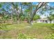 A lush backyard featuring a large shade tree, wood fence, and plenty of space for outdoor activities at 511 San Jose Dr, Dunedin, FL 34698