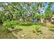 A lush backyard with scattered trees, a storage shed, and a privacy fence at 511 San Jose Dr, Dunedin, FL 34698