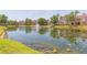 Beautiful pond surrounded by lush landscaping and well-maintained apartment homes at 10502 Villa View Cir, Tampa, FL 33647