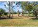 Manicured backyard with mature trees, overlooking a lush golf course, creating a picturesque and serene outdoor setting at 10517 Palm Cove Ave, Tampa, FL 33647