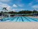Community lap pool with lane lines and green pennant flags surrounded by lush tropical landscaping for resident enjoyment at 10517 Palm Cove Ave, Tampa, FL 33647