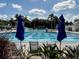 Community pool complex featuring a lap pool, lounge chairs with umbrellas, and lush tropical landscaping for resident enjoyment at 10517 Palm Cove Ave, Tampa, FL 33647