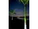 Palm trees and distant city lights enhance backyard scenery at 1601 Westerly Dr, Brandon, FL 33511