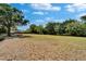 Large open field with picnic tables, ideal for outdoor activities at 1601 Westerly Dr, Brandon, FL 33511