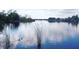 Scenic lake view featuring a calm body of water with lush greenery and wildlife at 1755 Open Field Loop, Brandon, FL 33510