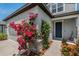 Charming home with a welcoming entrance surrounded by lush landscaping and mature bougainvillea at 21003 Monza Loop, Land O Lakes, FL 34638