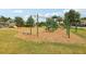 Community playground featuring slides, climbing structures, and swings for outdoor fun and recreation at 21746 Amelia Rose Way, Land O Lakes, FL 34637