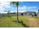 Lush backyard with a privacy fence, mature palm trees, and ample space for outdoor activities at 3078 Marine Grass Dr, Wimauma, FL 33598