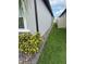 Well-maintained side yard featuring lush grass, decorative rocks, and manicured shrubbery, adding curb appeal at 3078 Marine Grass Dr, Wimauma, FL 33598