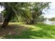 A serene backyard featuring a tranquil lake, lush greenery and mature palm trees create a private outdoor oasis at 3138 Edgemoor Dr, Palm Harbor, FL 34685