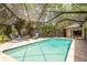 This serene screened-in pool offers lounge seating and views of mature trees creating a private backyard retreat at 3138 Edgemoor Dr, Palm Harbor, FL 34685