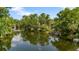 Scenic water view showcasing lush greenery reflecting in the tranquil river with docks at 4112 Alafia Blvd, Brandon, FL 33511