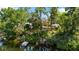 Waterfront property with lush greenery, and a dock, offering serene views at 4112 Alafia Blvd, Brandon, FL 33511