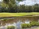 Scenic view of golf course with lush green grass and a serene pond at 5132 Pinnacle Dr, Oldsmar, FL 34677