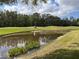 Picturesque golf course with a pond and lush greenery under a partly cloudy sky at 5132 Pinnacle Dr, Oldsmar, FL 34677