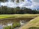 Scenic view of the golf course with a tranquil pond and surrounding trees at 5132 Pinnacle Dr, Oldsmar, FL 34677