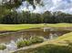 Picturesque golf course featuring a serene pond and lush greenery at 5132 Pinnacle Dr, Oldsmar, FL 34677