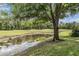 Scenic view of a serene pond bordering a lush green golf course, with a mature tree in the foreground at 5132 Pinnacle Dr, Oldsmar, FL 34677