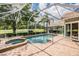Lush backyard oasis with a screened-in pool and spa, perfect for outdoor entertaining and relaxation at 5132 Pinnacle Dr, Oldsmar, FL 34677