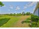 Expansive green backyard with ample space, backing to nature at 6440 Maiden Sea Dr, Apollo Beach, FL 33572