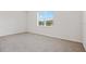 Empty bedroom featuring plush carpeting and a window providing natural light at 9309 Tradewater Oaks Ct, Riverview, FL 33578