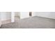 Empty bedroom featuring plush carpeting and a walk-in closet at 9309 Tradewater Oaks Ct, Riverview, FL 33578