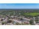 Expansive aerial view of a suburban neighborhood with mature trees, sidewalks, and lush green spaces at 1005 Cameo Crest Ln, Valrico, FL 33596