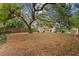 Expansive backyard featuring a mature tree, wooden fence, and shed offer a private outdoor retreat at 10442 Cirimoya Ln, Seminole, FL 33772