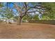Spacious backyard featuring a large tree, shed, and wooden fence provides a private and serene setting at 10442 Cirimoya Ln, Seminole, FL 33772