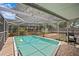 A refreshing screened-in pool offers a relaxing outdoor space with chairs and lush landscaping at 10442 Cirimoya Ln, Seminole, FL 33772