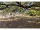 Spacious backyard features large trees providing shade and privacy at 2173 Dodge St, Clearwater, FL 33760