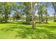 Expansive backyard featuring lush green grass, mature trees, and a serene lake view at 2537 Oakleaf Ln # 32A, Clearwater, FL 33763