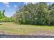 Expansive backyard, with lush green grass and mature trees providing privacy and a serene outdoor space at 2547 Lexington Oak Dr, Brandon, FL 33511