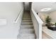 Carpeted stairway leading to a living room area that features hard wood floors and modern decorations at 2547 Lexington Oak Dr, Brandon, FL 33511