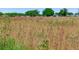 View of acreage included with property at 3434 E Keysville Rd, Lithia, FL 33547