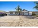 Front exterior with manicured yard and newly upgraded driveway with palm tree in front of the house at 6428 Moss Way, Tampa, FL 33625