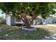 Front yard view featuring a large, mature shade tree adding to the charm of the home at 9118 108Th Ave, Seminole, FL 33777