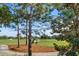 Scenic golf course featuring manicured greens and mature trees, perfect for golf enthusiasts at 919 Osceola Rd # 202, Belleair, FL 33756