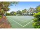 Well-maintained community basketball court surrounded by mature trees and landscaping at 11624 Bristol Chase Dr, Tampa, FL 33626