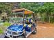 Electric golf cart parked with lush greenery, providing convenient transportation at 11624 Bristol Chase Dr, Tampa, FL 33626