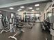 Bright community gym showcasing a variety of weight machines, free weights, and fitness equipment at 11624 Bristol Chase Dr, Tampa, FL 33626