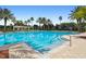 Large swimming pool with ample seating, surrounded by palm trees and providing a relaxing atmosphere at 11624 Bristol Chase Dr, Tampa, FL 33626