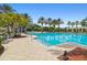 Resort-style swimming pool surrounded by palm trees, lounge chairs, and shade umbrellas at 11624 Bristol Chase Dr, Tampa, FL 33626