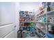 Walk-in pantry providing ample storage space with wire shelving at 13651 Ashlar Slate Pl, Riverview, FL 33579