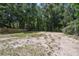 Large fenced-in backyard, presenting a mostly cleared area amidst lush trees at 25126 Huston St, Brooksville, FL 34601