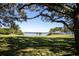 Beautiful view of a grassy park overlooking the water, framed by mature trees at 2617 Cove Cay Dr # 401, Clearwater, FL 33760
