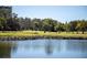 Scenic view of a community park with a pond, manicured lawn and mature trees at 2617 Cove Cay Dr # 401, Clearwater, FL 33760