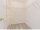 Spacious walk-in closet with wire shelving and neutral carpet at 29436 Zeller Ave, San Antonio, FL 33576