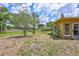 Green backyard featuring a mix of grass and ground cover, bordered by a privacy fence and mature shrubs at 2961 Briar Cliff Dr, Palm Harbor, FL 34684